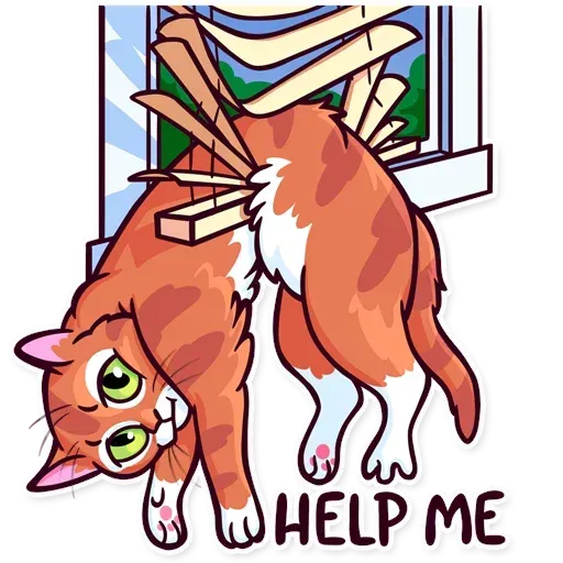 Meme Cats Stickers - Sticker 12
