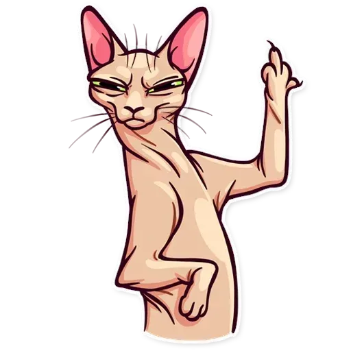 Meme Cats Stickers - Sticker 20