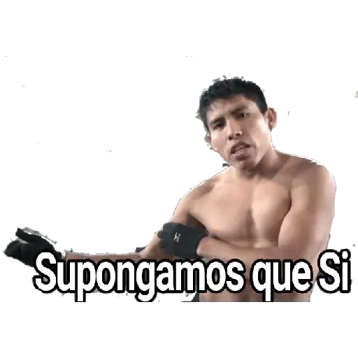 De todo - Sticker 17