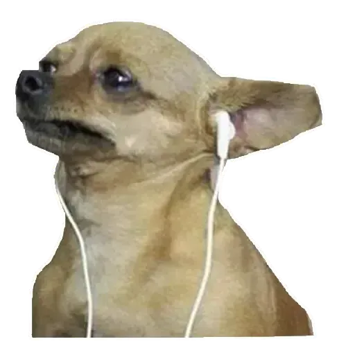 De todo - Sticker 10