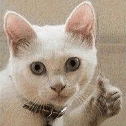 Cat - Sticker 22