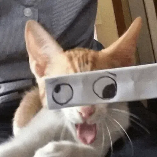 Cat - Sticker 15