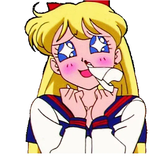 Sailor moon - Sticker 17