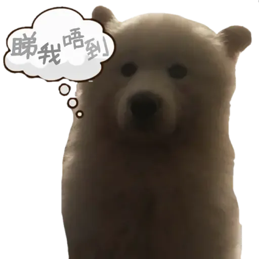Bigtamhead 2 - Sticker 17