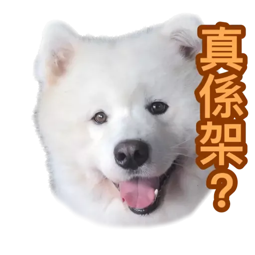 Bigtamhead 2 - Sticker 10