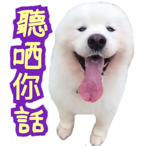 Bigtamhead 2 - Sticker 13