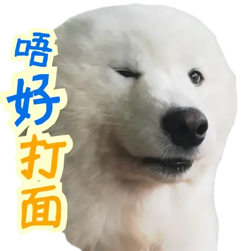 Bigtamhead 2 - Sticker 11