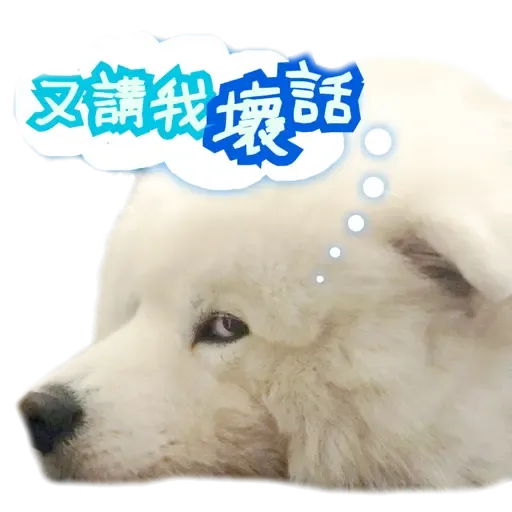 Bigtamhead 2 - Sticker 19