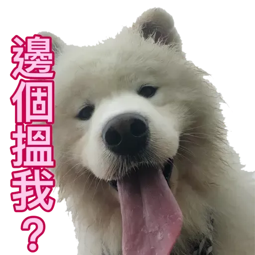 Bigtamhead 2 - Sticker 22