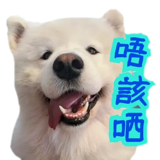Bigtamhead 2 - Sticker 20