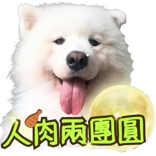 Bigtamhead 2 - Sticker 16