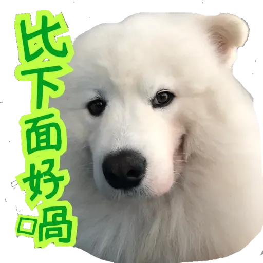 Bigtamhead 2 - Sticker 15