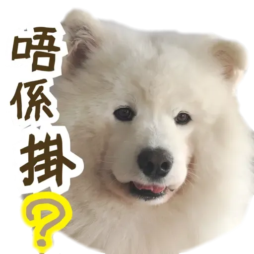 Bigtamhead 2 - Sticker 9