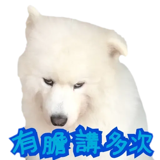 Bigtamhead 2 - Sticker 12
