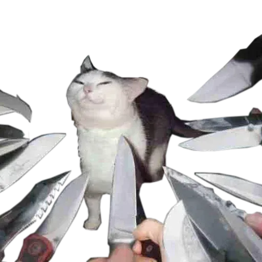 Cat 4.0 - Sticker 10