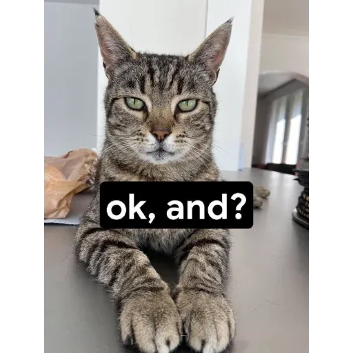 Cat 4.0 - Sticker 19