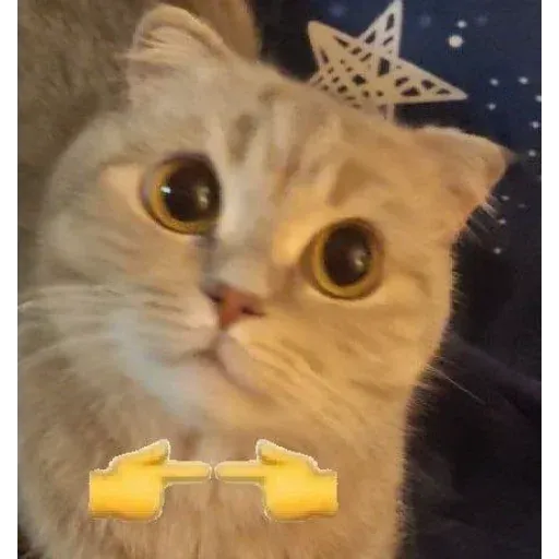 Cat 4.0 - Sticker 12