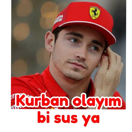 FORMULA 1 TURKEY PART 1 - Sticker 29