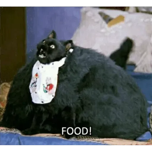 Meme 3.0 - Sticker 16