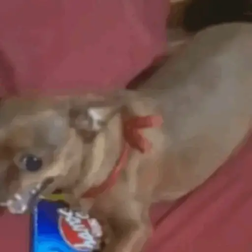 TikTok Animated Memes 3 - Sticker 28