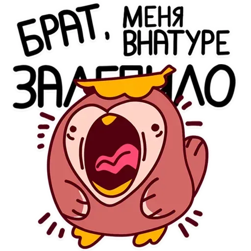 Bassim Dich - Sticker 17