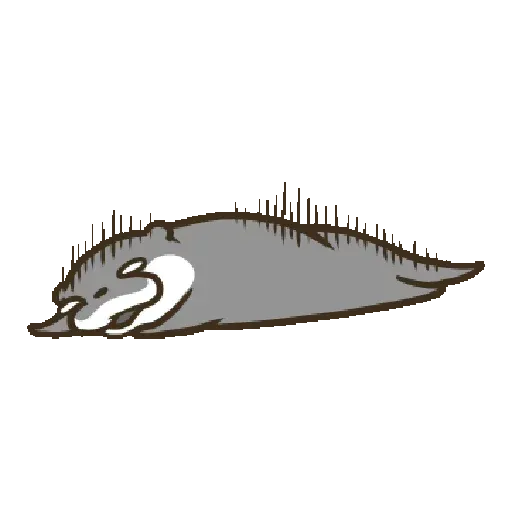 otter kotsumetti4.2 - Sticker 13