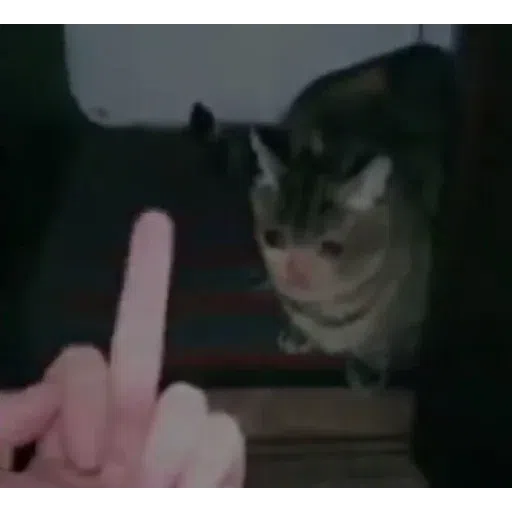 Pussy 2 - Sticker 26