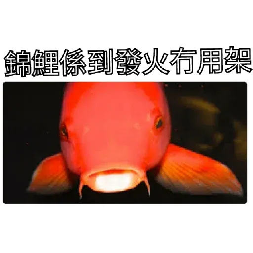 咁你又Down - Sticker 12