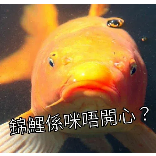 咁你又Down - Sticker 13