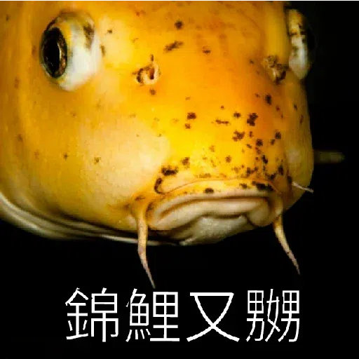 咁你又Down - Sticker 14