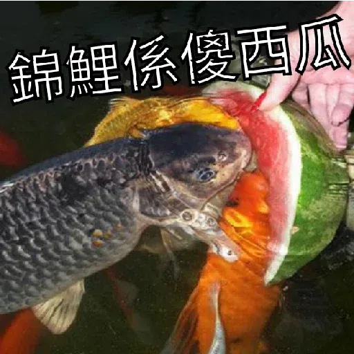 咁你又Down - Sticker 10
