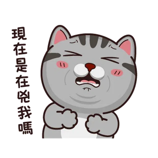 Fucking cat - Sticker 19