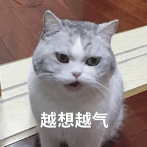 cats - Sticker 12
