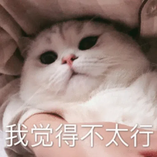 cats - Sticker 23