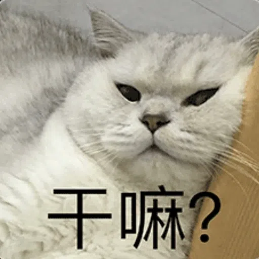 cats - Sticker 20