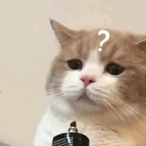 cats - Sticker 11