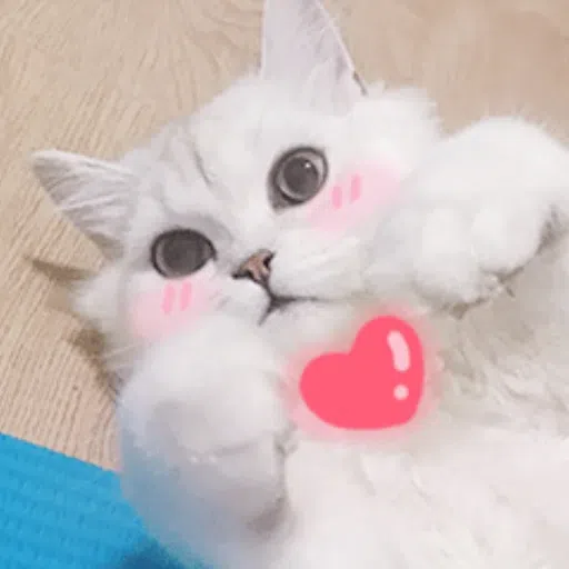 cats - Sticker 26