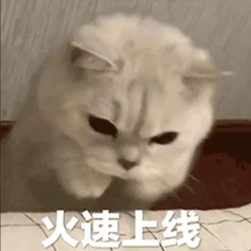 cats - Sticker 9