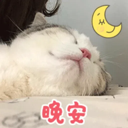 cats - Sticker 15