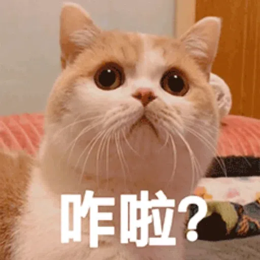 cats - Sticker 27