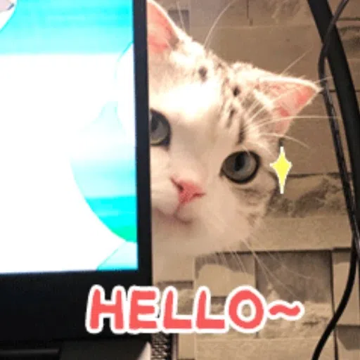 cats - Sticker 14