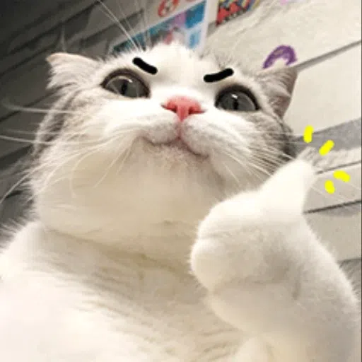 cats - Sticker 16