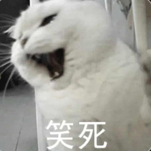 cats - Sticker 19
