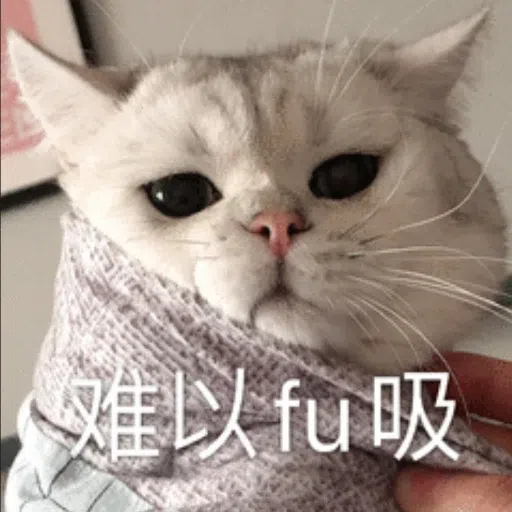 cats - Sticker 24
