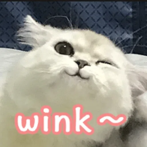 cats - Sticker 25