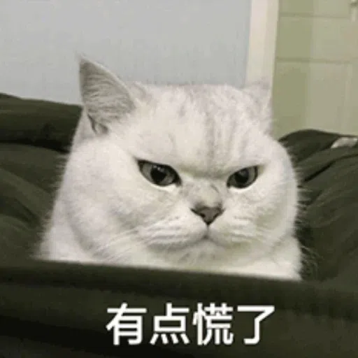 cats - Sticker 10