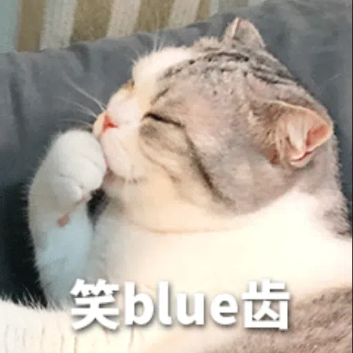 cats - Sticker 17