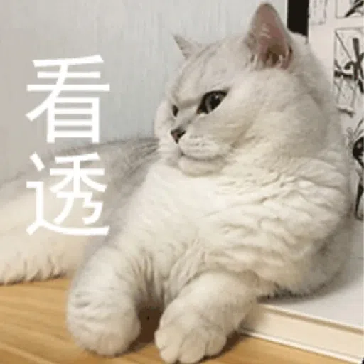 cats - Sticker 18