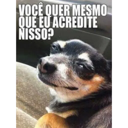Memes - Sticker 11