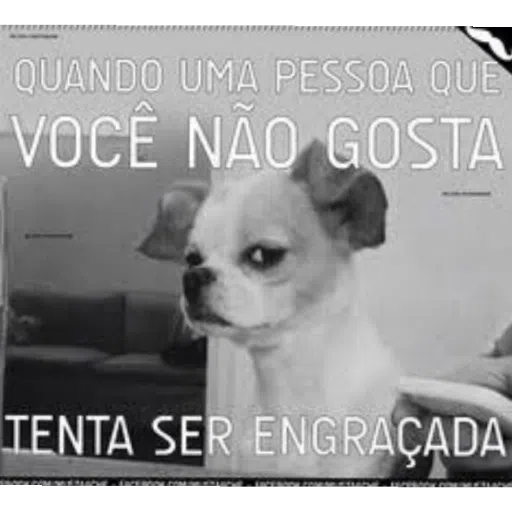 Memes - Sticker 10
